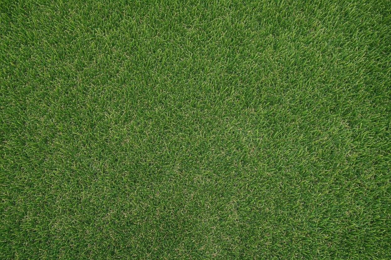 Artificial grass hero banner